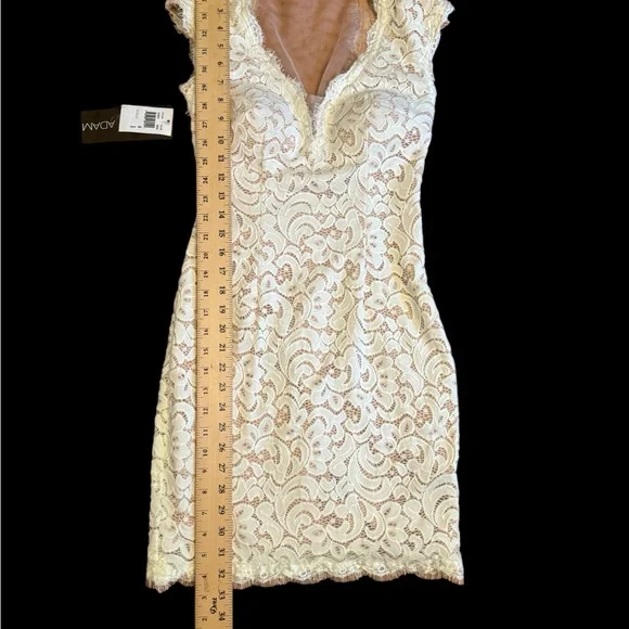 NWT Betsy and Adam Dress - Picture 13 of 13